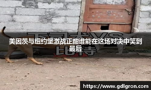 美因茨与纽约堡激战正酣谁能在这场对决中笑到最后