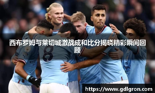 西布罗姆与莱切城激战成和比分揭晓精彩瞬间回顾